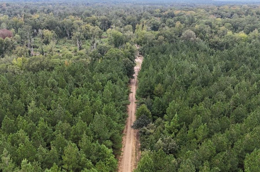 DJI_20240908010213_0083_D