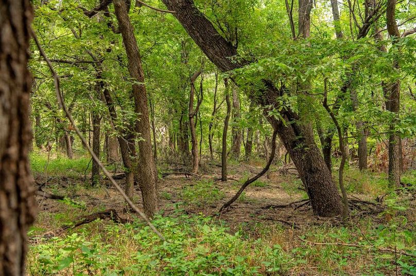 Copy of Copy of TRACT 2-9