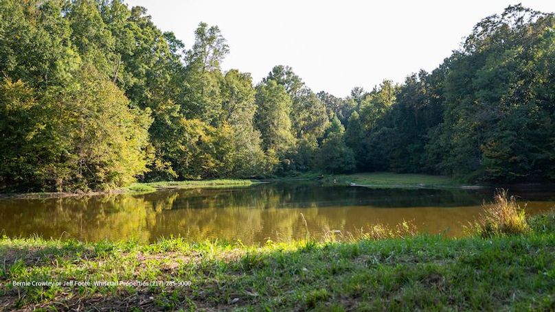 Tallahatchie 847 Messina-27