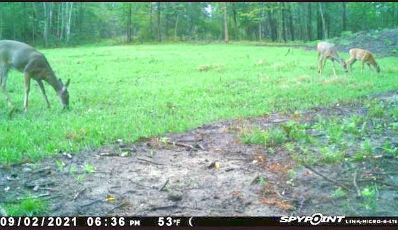 Screenshot 2021-09-02 at 7.48.56 PM