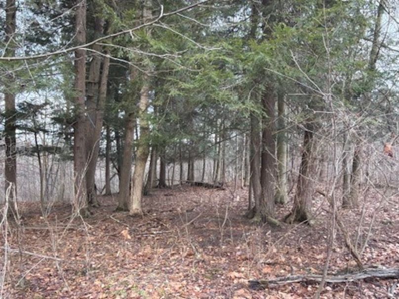 00D0AD5F-FB1A-4F69-8440-27FAA8AA43C2_4_5005_c