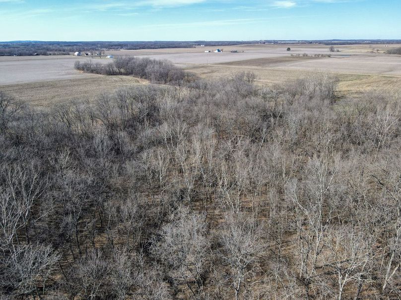 vandalia 450 (2)-2245