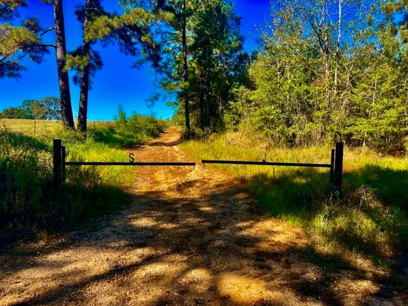 C2E2A8C4-7605-480F-AED4-8D727E347F0A_1_105_c