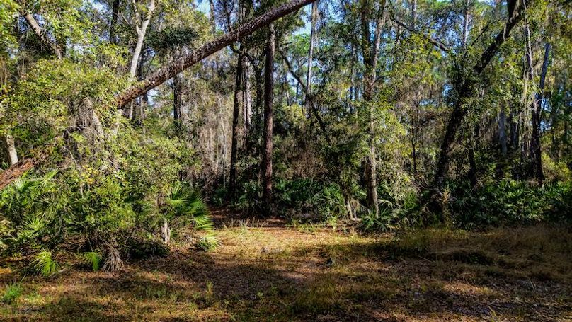 Copy of DJI_20251203231559_0677_D