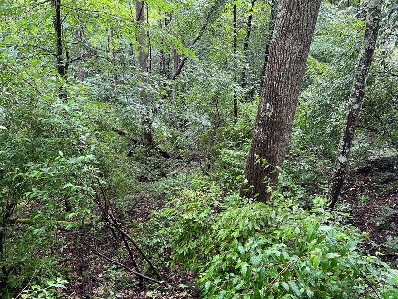 Wirt, WV 150.75 AC Tinnell-08