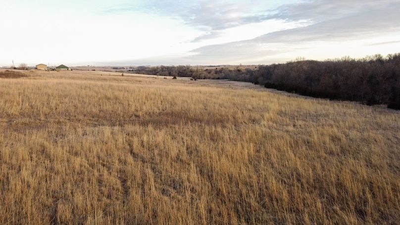 MONTGOMERY CO IA 156.78_17