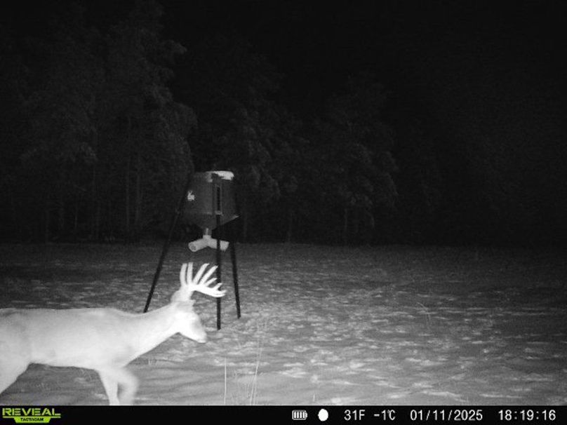 868032069664856-100-4-01112025181916-W1001598