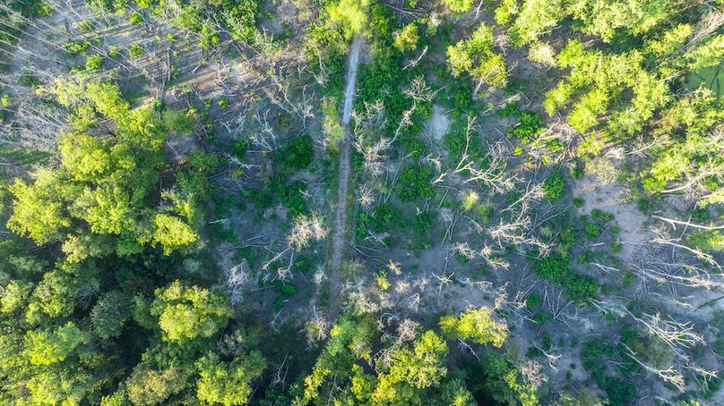 DJI_20250918050658_0004_D