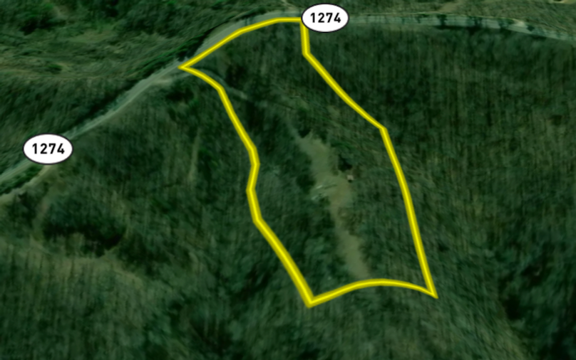 Screenshot 2024-07-09 at 10.00.44 AM