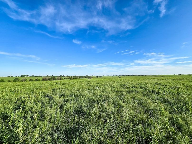 Copy of 20250625_073324