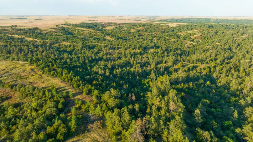 Keya Paha NE 2700_Pro Photo-39