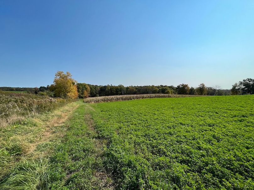 Yates_29_Stape Photo 31