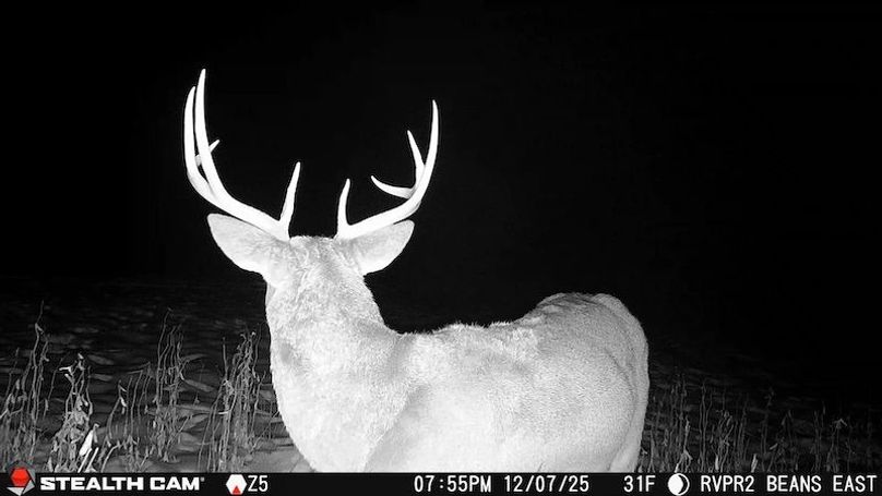 2025120719554301005060_ColorizationType.none