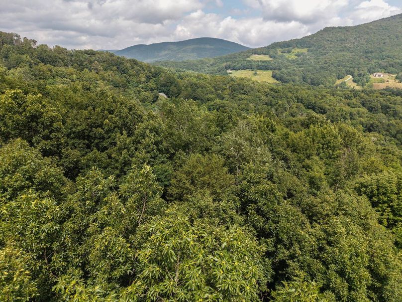 DJI_20250808152008_0003_D