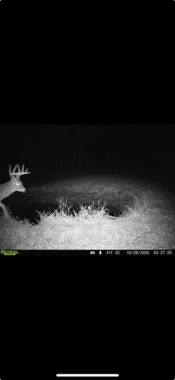 Screenshot 2026-01-09 at 12.51.42 PM