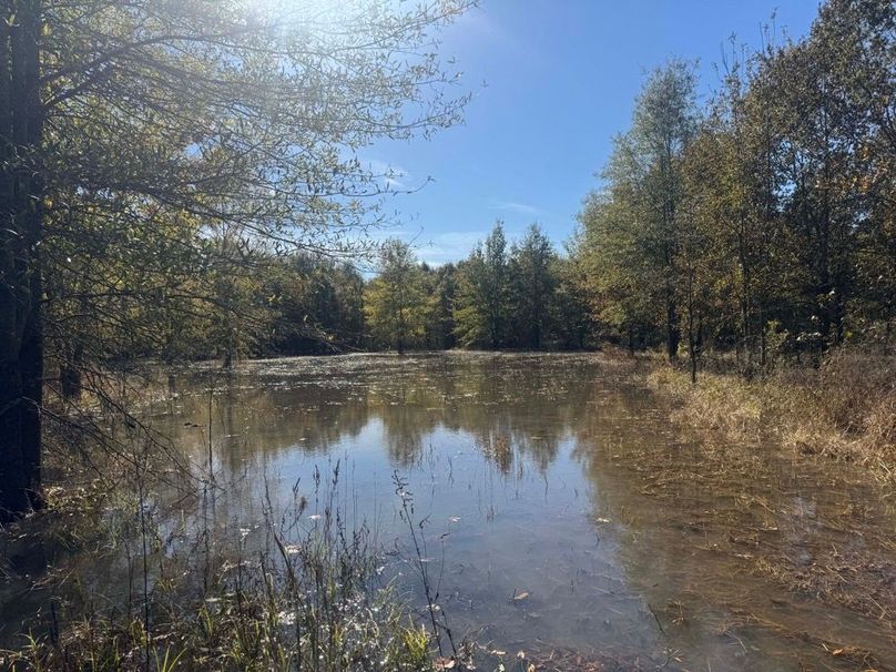 1a1 jeff 8320251111_0244