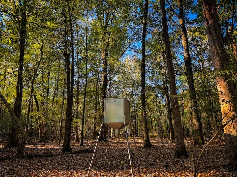 Clay 302.7 Henderson-16