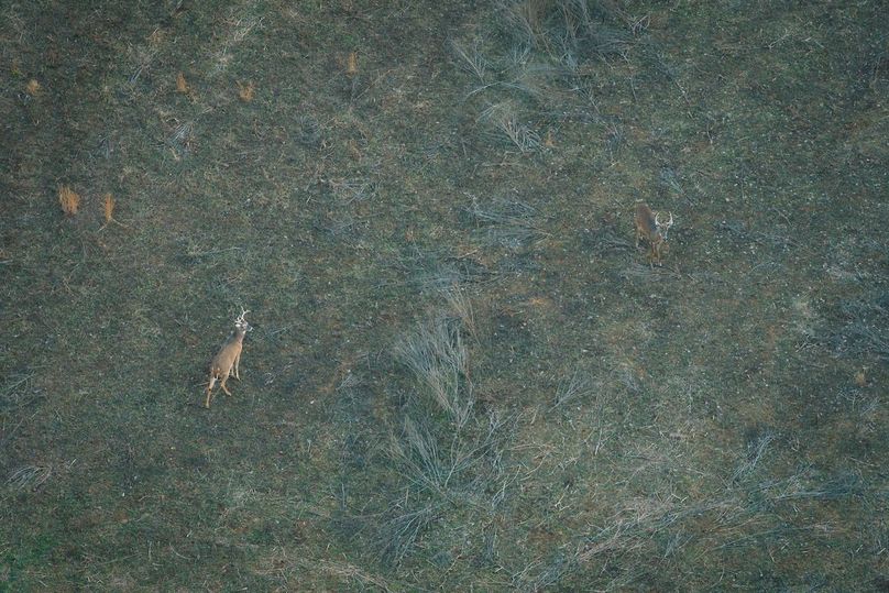 DJI_20260121164232_0470_D