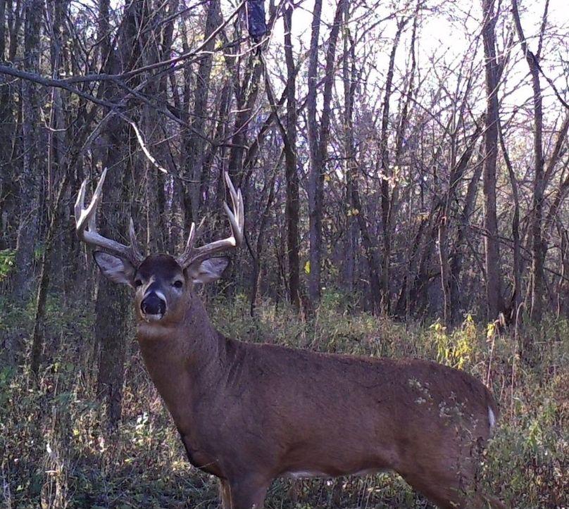 Screenshot_20240823_162949_Gallery