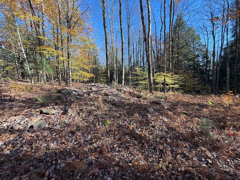 Oswego_26.28_Koehler Photo 27