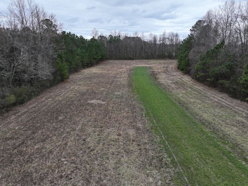 dji_fly_20260218_144546_0543_1772499976760_photo