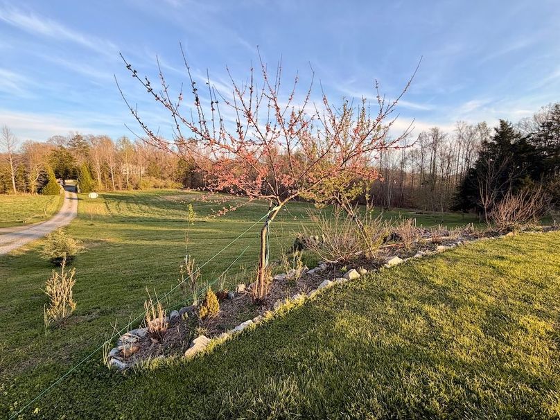 Meigs 113 NATH Homestead _112