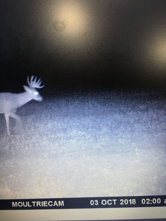 57189241294__54E0F438-FF88-4D0B-9838-E9A90CF91F09