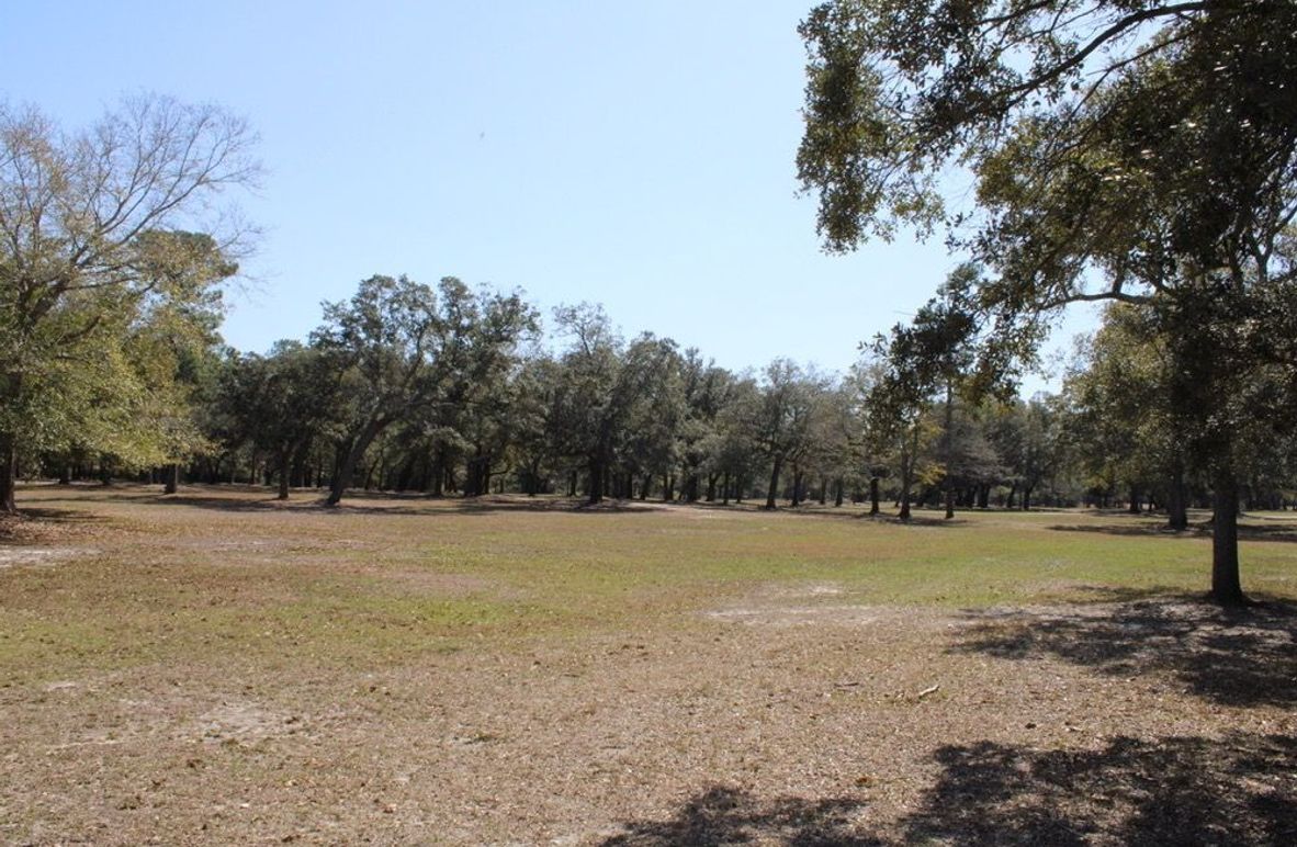 16E313AD-8F66-40FB-874E-444CA85E6CF6_1_105_c-2