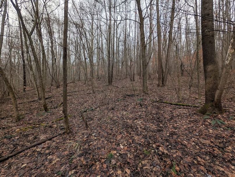 PXL_20260107_180954069.MP