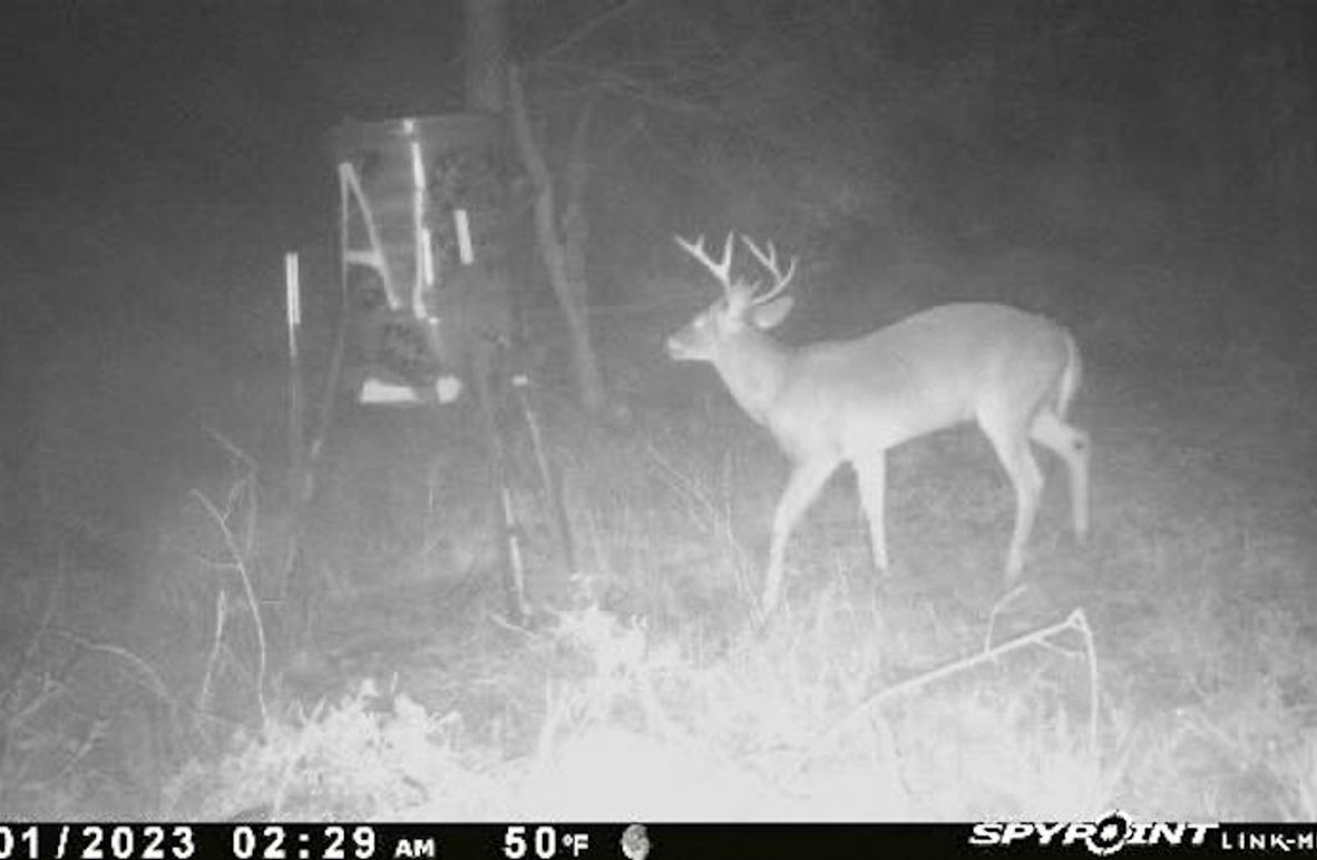 Ashley Co-40-Givens-07