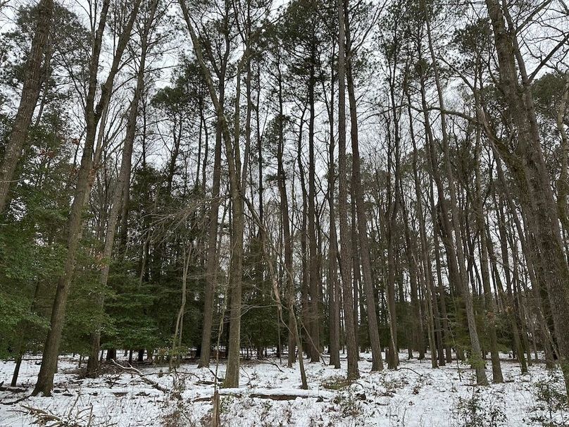 Copy of 10_Salisbury_MD_101.27AC