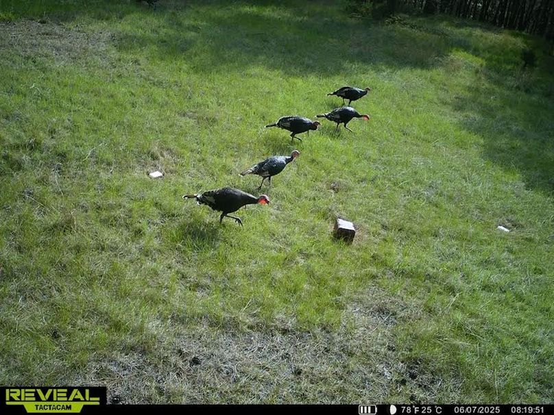 865509052769050-50-3-06072025082017-W1001145