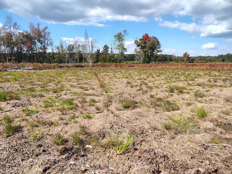 IMG_20231022_133822485