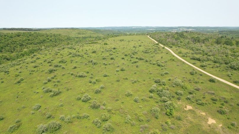 dji_fly_20250602_111432_269_1748877839845_photo