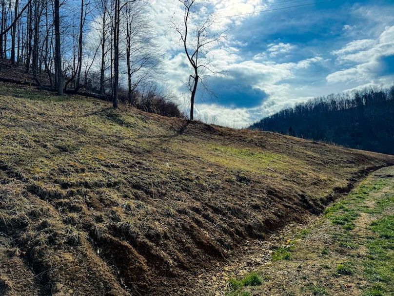 Doddridge, WV 79.08 AC Adams-34