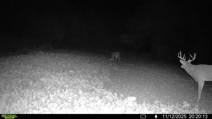 016578004266422-46-2-11122025223718-HD-SYFW01953