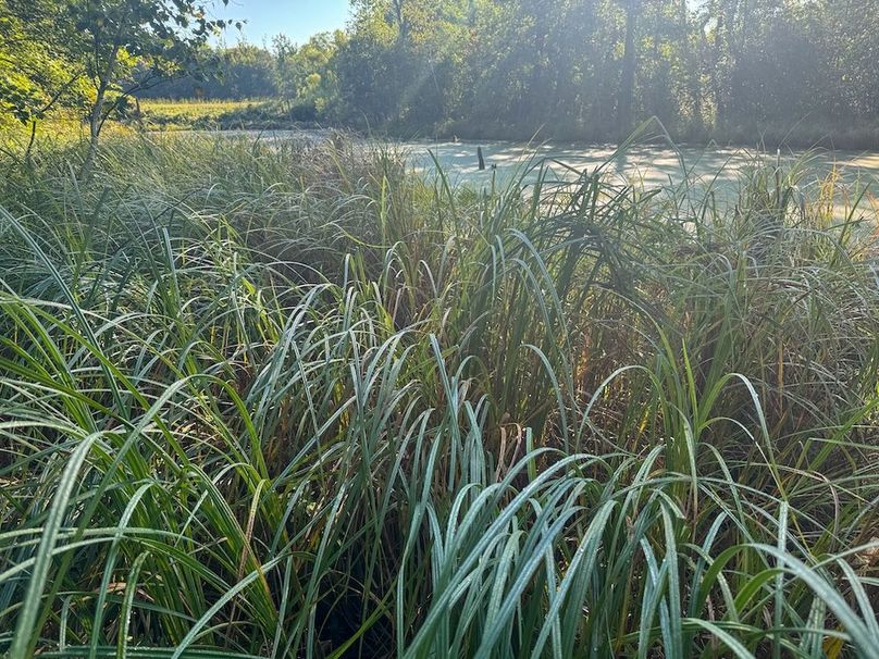 Pantzke Ground Photos-28