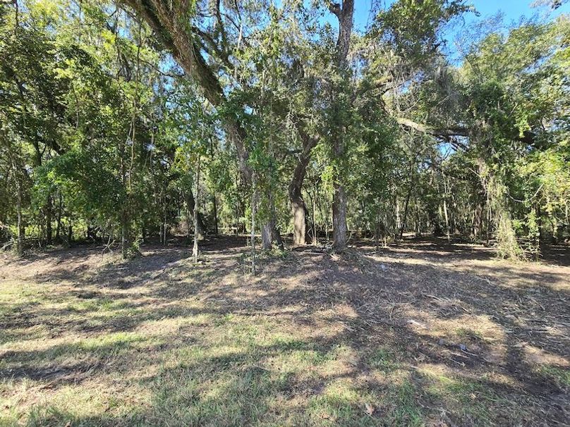 7.8ac, Citrus, Andrew Goering07