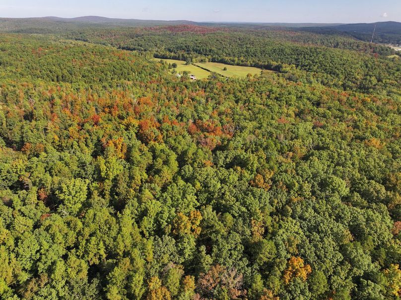 DJI_20250925100425_0700_D