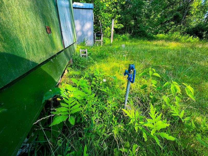 Wirt, WV 145.69 AC 273 Wildflower-56