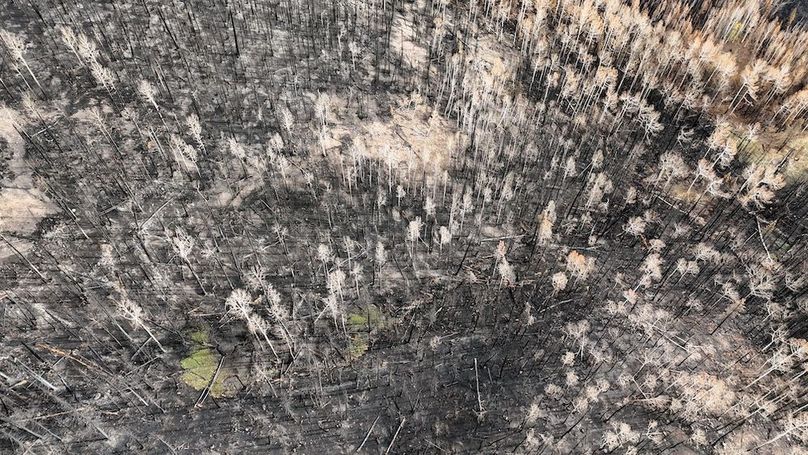 DJI_20250927092218_0182_D