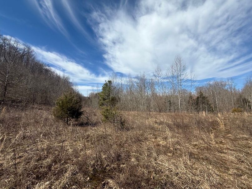 011 some of the old fields in the upper areas of the middle part of the property