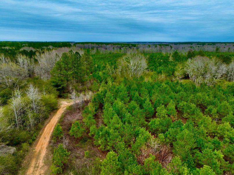 5FDA170F-87B5-4BDA-B6DE-0248B132F7BC_1_105_c