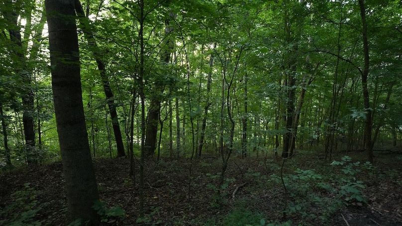 Copy of Copy of DSC04988