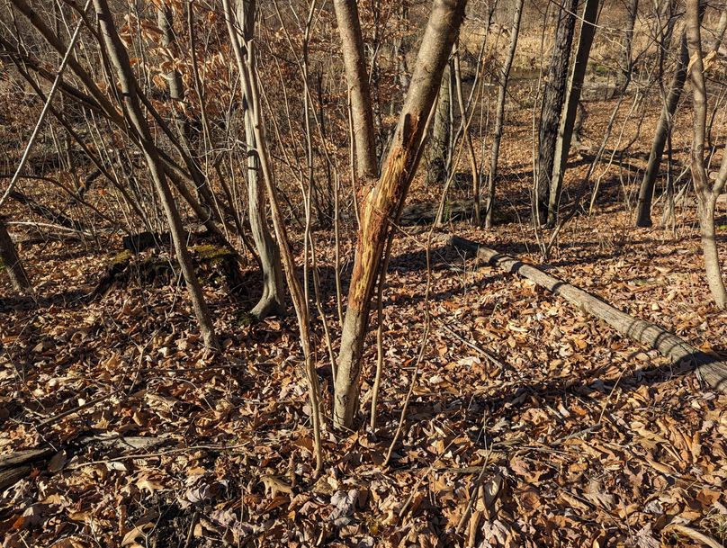 PXL_20231215_171503564