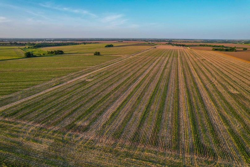 Bell 46.44 Pictures-24