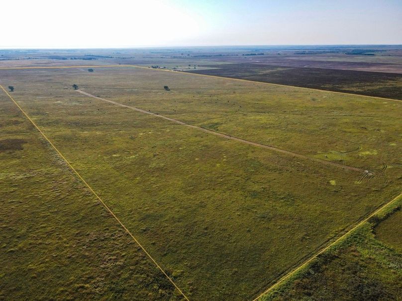 Comanche321_0004 copy