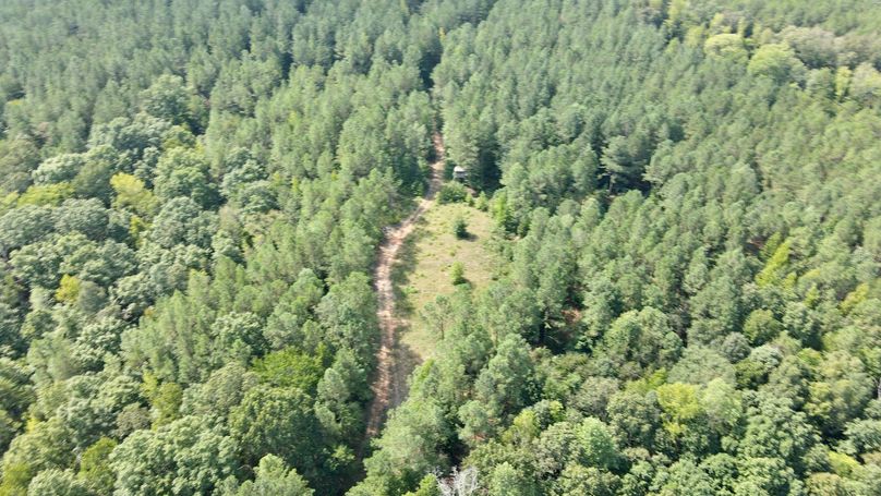 dji_fly_20230906_114536_373_1694015168084_photo