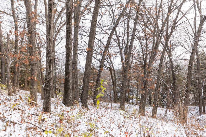 Small Hunting Property In A Great Area In Southern Iowa Whitetail