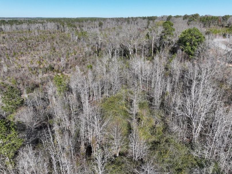 C2C8093D-6858-4B80-8BF6-7B485C677947_1_105_c